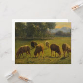 Schapen in een Landelijk Landschap (door Rosa Bonh Kaart (Voorkant / Achterkant in situ)