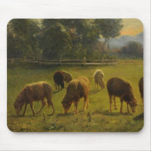 Schapen in een Landelijk Landschap (door Rosa Bonh