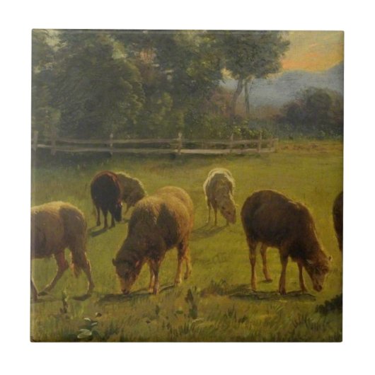 Schapen in een landelijk landschap (Frans Boerderi Tegeltje (Voorkant)