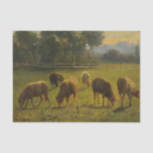 Schapen in een landelijk landschap (Frans Boerderi