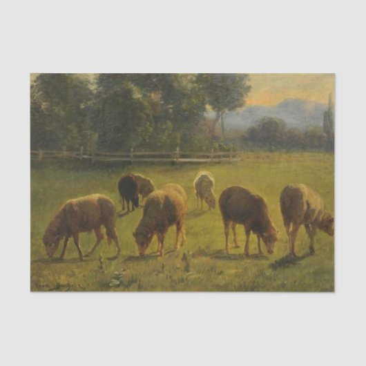 Schapen in een landelijk landschap (Frans Boerderi Tissuepapier (Voorkant)