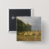 Schapen in een landschap vierkante button 5,1 cm (Voorkant /achterkant)