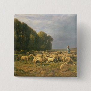 Schapen in een landschap vierkante button 5,1 cm