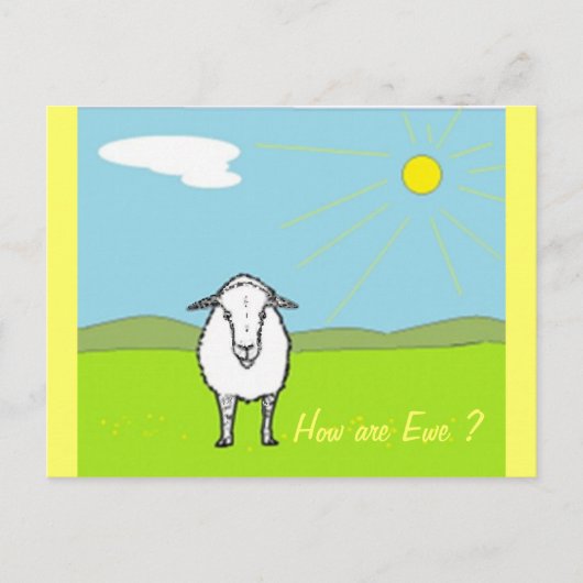 Schapen in een veld briefkaart (Voorkant)