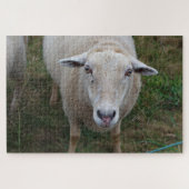 Schapen in een veld legpuzzel (Horizontaal)