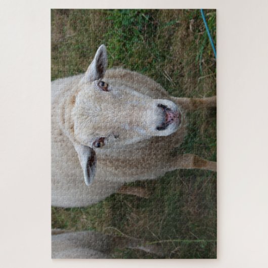 Schapen in een veld legpuzzel (Verticaal)