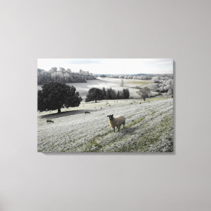 Schapen in een vorstvallei canvas afdruk