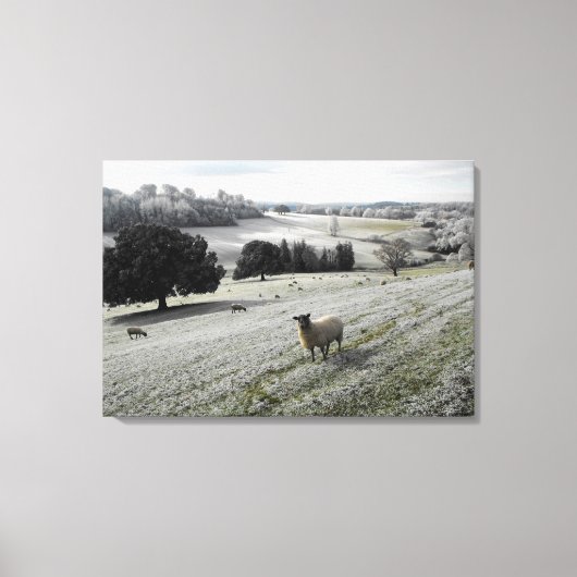 Schapen in een vorstvallei canvas afdruk (Voorkant)