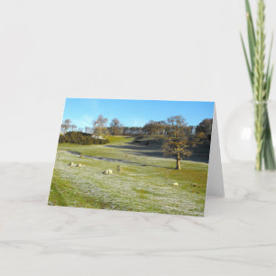 Schapen in een vorstvallei feestdagen kaart