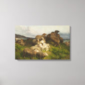 Schapen in een weide (door August Friedrich Schenc Canvas Afdruk (Voorkant)