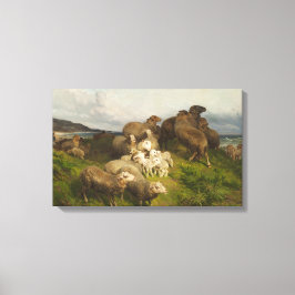 Schapen in een weide (door August Friedrich Schenc Canvas Afdruk