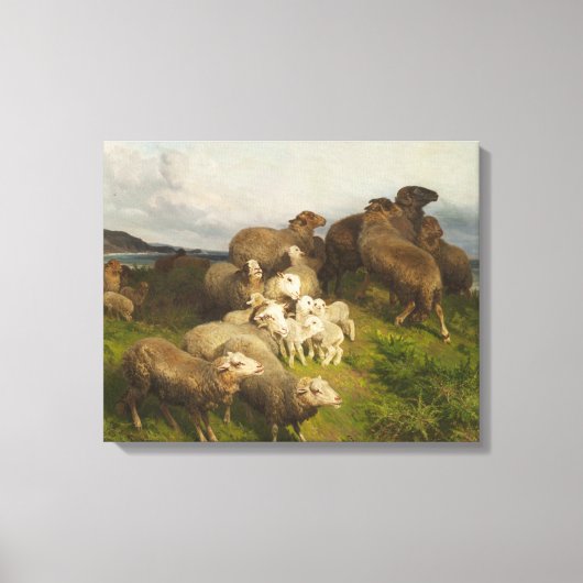 Schapen in een weide (door August Friedrich Schenc Canvas Afdruk (Voorkant)