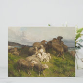Schapen in een weide (door August Friedrich Schenc Kaart (Staand voorkant)