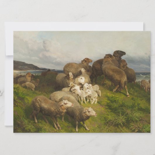 Schapen in een weide (door August Friedrich Schenc Kaart (Voorkant)