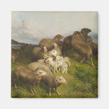Schapen in een weide (door August Friedrich Schenc