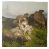 Schapen in een weide (door August Friedrich Schenc Tegeltje (Voorkant)