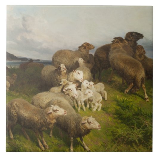 Schapen in een weide (door August Friedrich Schenc Tegeltje (Voorkant)