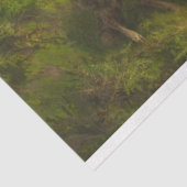 Schapen in een weide (door August Friedrich Schenc Tissuepapier (Detail)