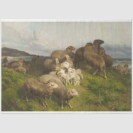 Schapen in een weide (door August Friedrich Schenc Tissuepapier