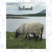 Schapen in Galway Ierland Briefkaart