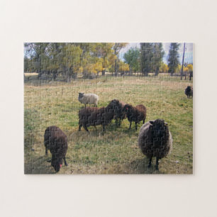 Schapen in het gras legpuzzel