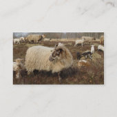 Schapen in het Heather veld Visitekaartje (Achterkant)