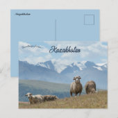 Schapen in het Kazachse Briefkaart (Voorkant / Achterkant)