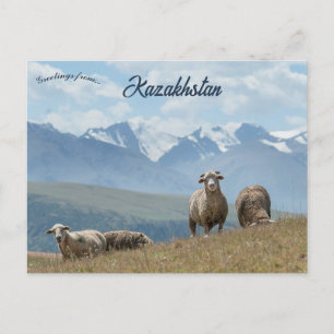 Schapen in het Kazachse Briefkaart