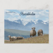 Schapen in het Kazachse Briefkaart (Voorkant)