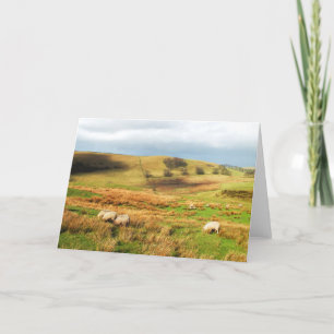 Schapen in het Peak District Feestdagen Kaart