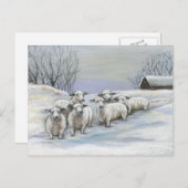 Schapen in het sneeuwkunst-Briefkaart Briefkaart (Voorkant / Achterkant)
