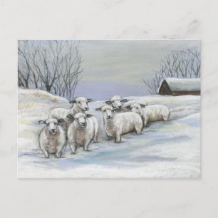 Schapen in het sneeuwkunst-Briefkaart Briefkaart