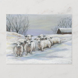 Schapen in het sneeuwkunst-Briefkaart Briefkaart