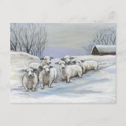 Schapen in het sneeuwkunst-Briefkaart Briefkaart (Voorkant)