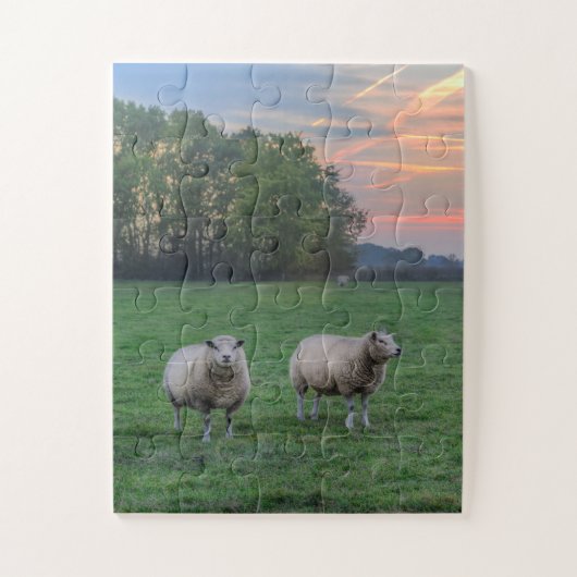 Schapen in het veld met zonsondergang legpuzzel (Verticaal)