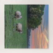 Schapen in het veld met zonsondergang legpuzzel (Horizontaal)