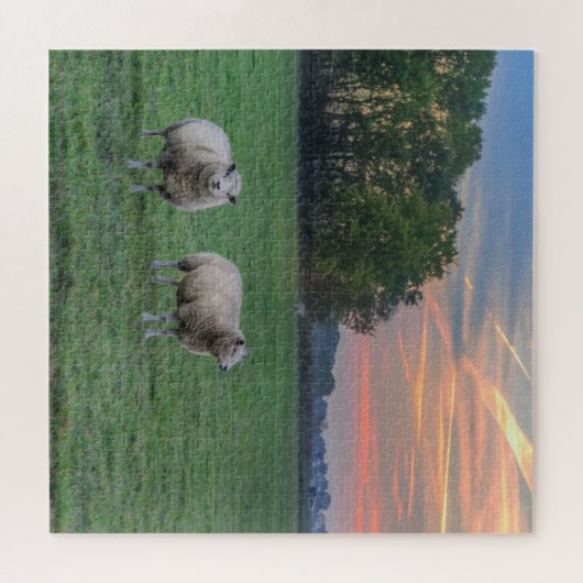 Schapen in het veld met zonsondergang legpuzzel (Horizontaal)