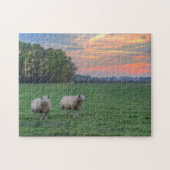 Schapen in het veld met zonsondergang legpuzzel (Horizontaal)