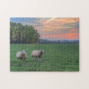 Schapen in het veld met zonsondergang legpuzzel