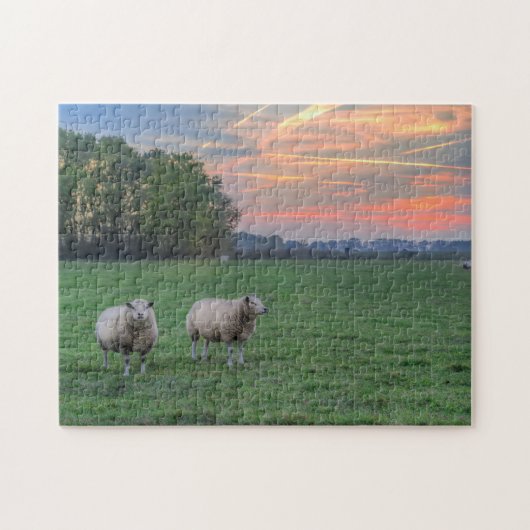 Schapen in het veld met zonsondergang legpuzzel (Horizontaal)
