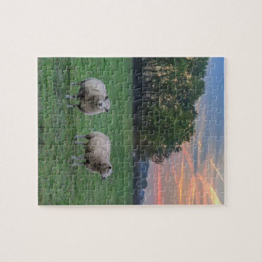 Schapen in het veld met zonsondergang legpuzzel (Horizontaal)