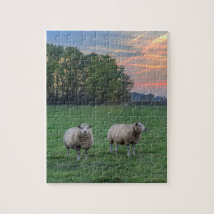 Schapen in het veld met zonsondergang legpuzzel