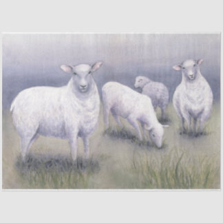 Schapen in het veld tissuepapier