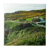 Schapen in Ierland Tegeltje (Voorkant)