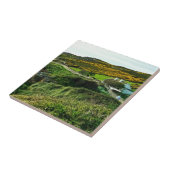 Schapen in Ierland Tegeltje (Zijkant)