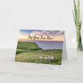 Schapen in Nieuw-Zeeland | Christkerk Landschap |  Bedankkaart (Voorkant)