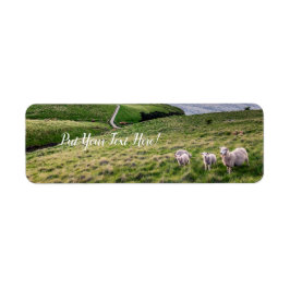 Schapen in Nieuw-Zeeland | Christkerk Landschap |  Etiket