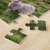 Schapen in Nieuw-Zeeland | Christkerk Landschap |  Legpuzzel (Zijkant)