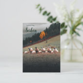 Schapen in Siberië op een berghelling op een bewol Briefkaart (Staand voorkant)