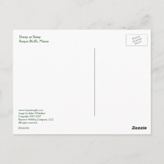 Schapen in slaap briefkaart (Achterkant)